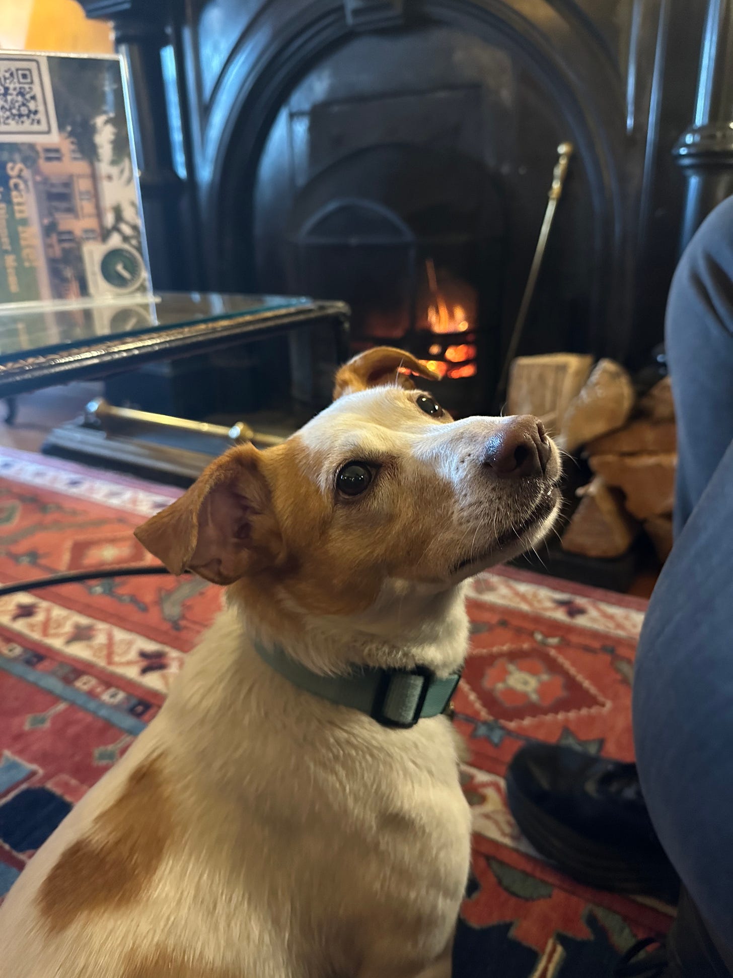 Clara relaxing fireside at the Mustard Seed