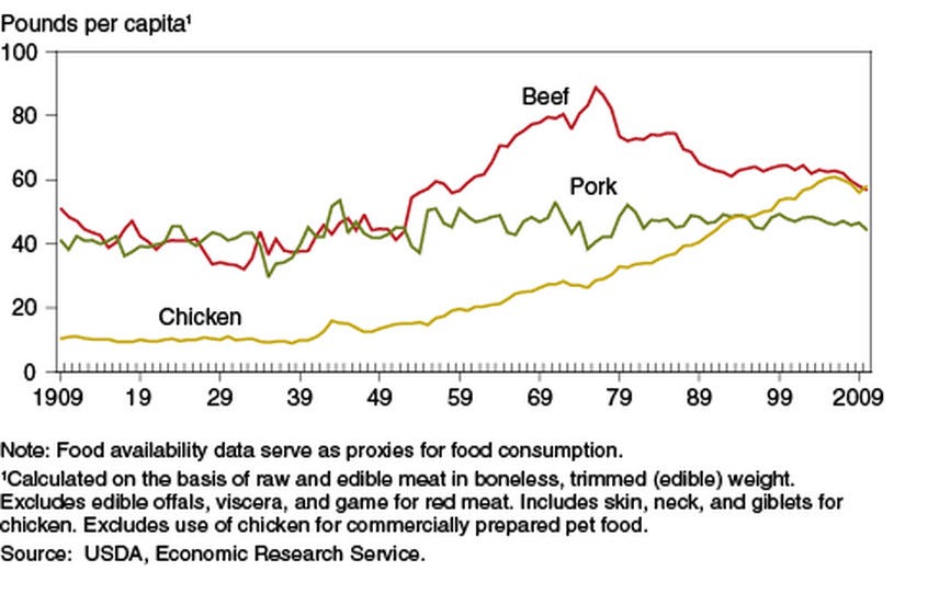 Chickens have gotten ridiculously large since the 1950s - Vox