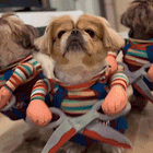 The Top 10 Crafts Steve Bannon Will Make In Prison (Number 5 Is 'Hello Kitty Cigarette Case'). Tabs, Tues., June 18, 2024