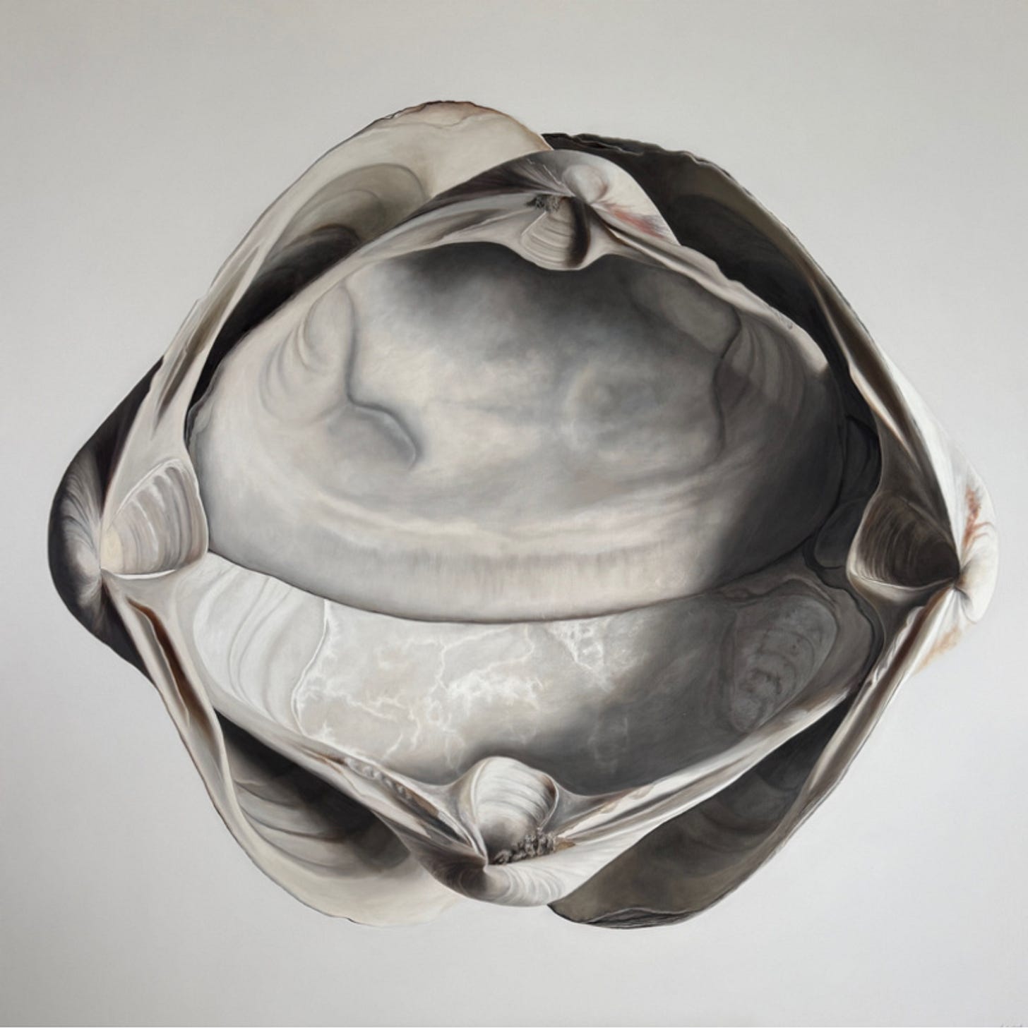 Cradled Surf Clams by Sarah Verardo