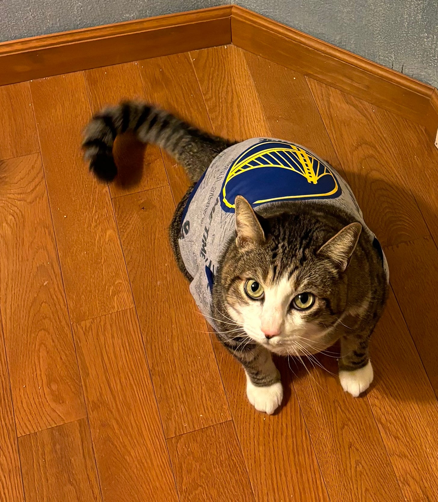 image4.jpeg image4.jpeg