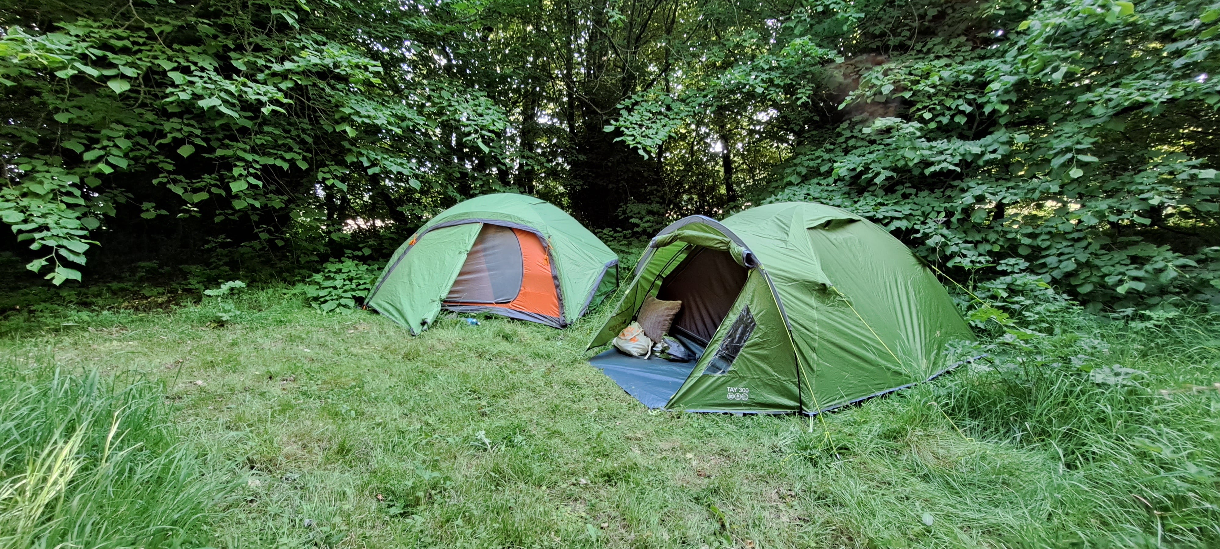 Two green dome tents nestled into the trees and undergrowth. The one to the right is mine, my friend Jenni slept in the other. Both tents have small porches.