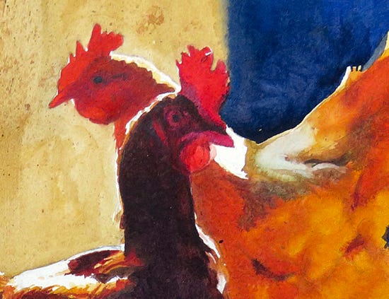 watercolor painting of chickens by John Hulsey