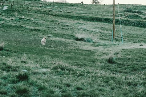 Fuji photographs of life in Montana by Tyler Knott Gregson