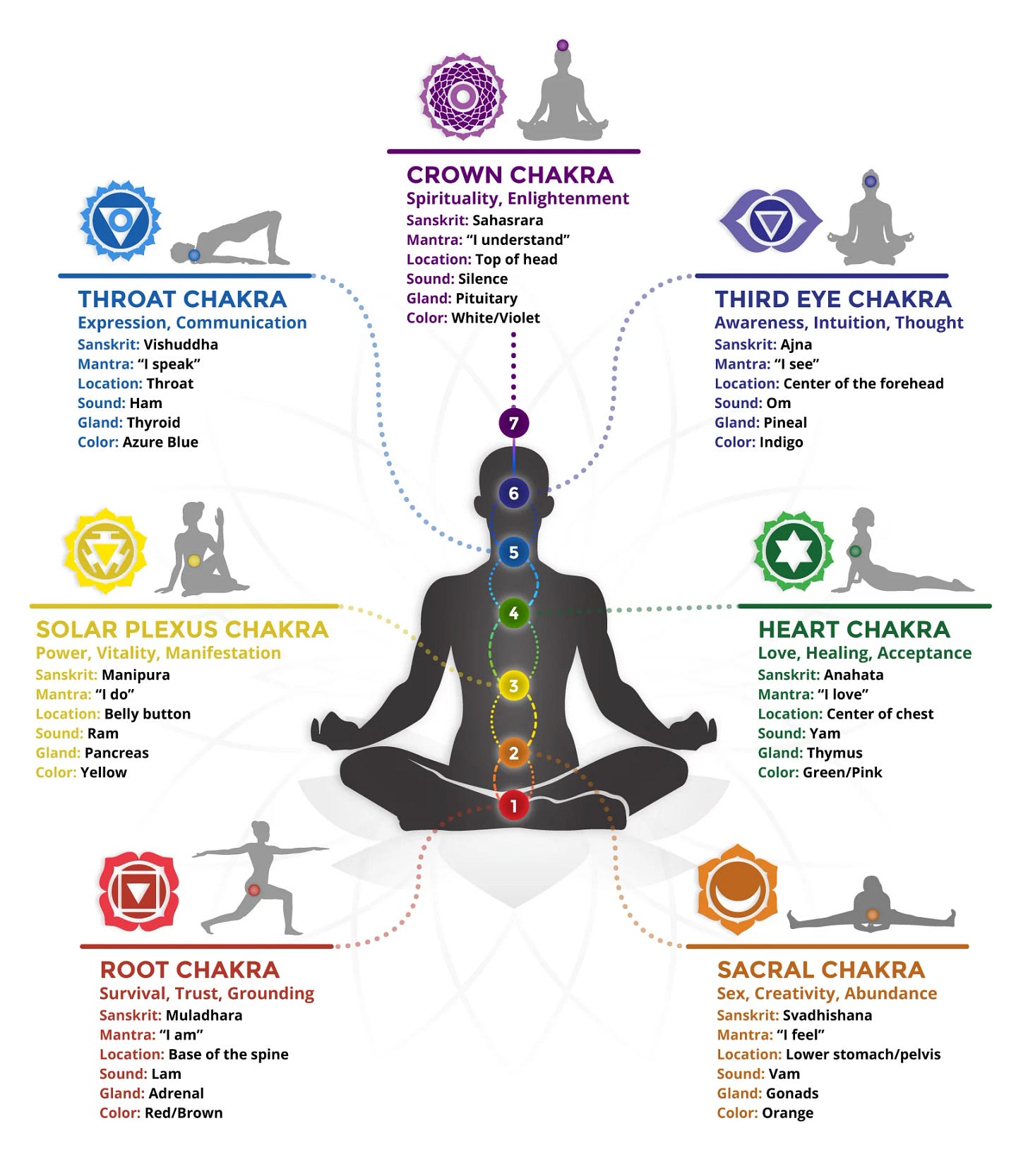 What is Vipassana and Its 3 Important Mental Health Benefits - PsychUniverse