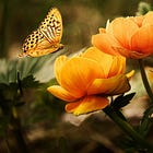 A Few Words to Help the Healing