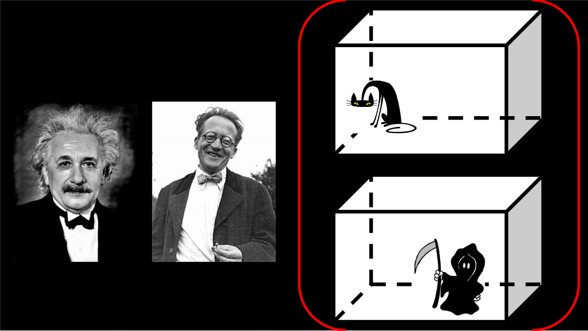 Why the Everett Interpretation of QM Is Not Insane