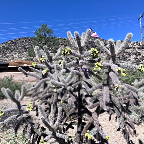 Alburquerque desert, petroglyphs, Los Hermanos