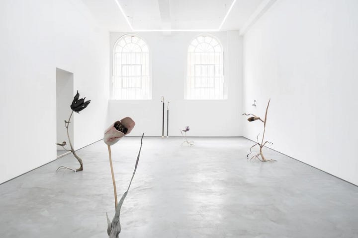 A Selection of images related to the exhibitions.