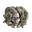 Xoabop's avatar