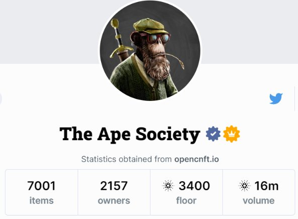 The Ape Society metaverse