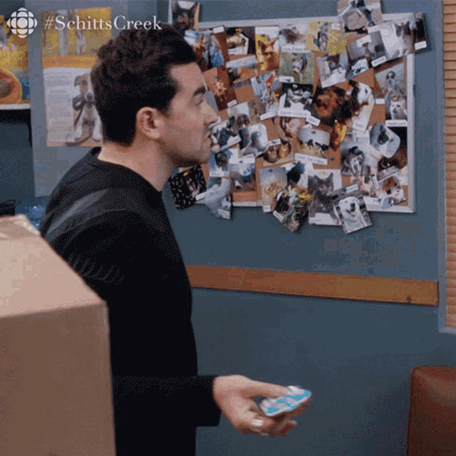 What Am I Gonna Do Now Dan Levy GIF - What Am I Gonna Do Now Dan Levy David  - Discover & Share GIFs