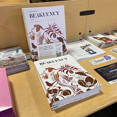 photos taken at various locations where Beakuency zine distribution point was set up.