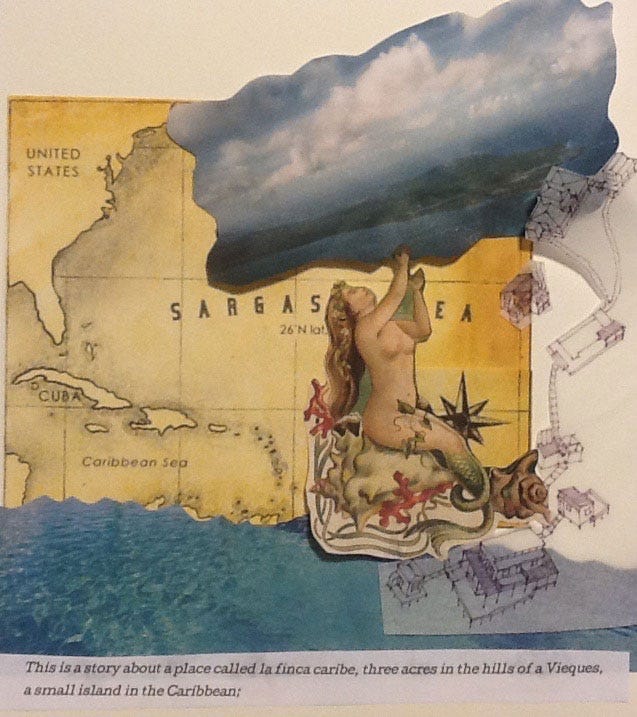 A very rough draft of a cover page collage idea...