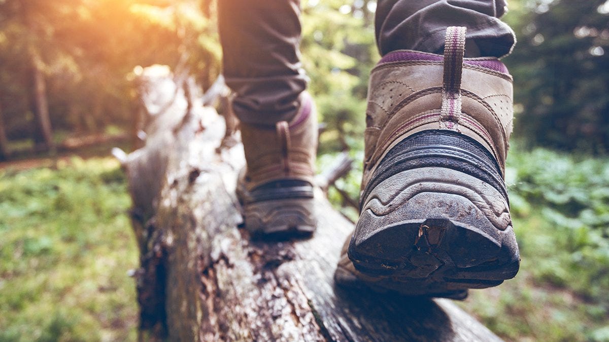 Get outdoors on Carolina's hiking trails | UNC-Chapel Hill Get outdoors on Carolina's hiking trails | UNC-Chapel Hill