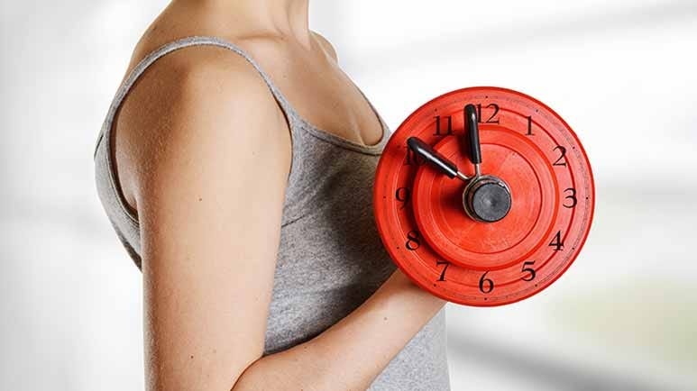 muscle clock circadian rhythm