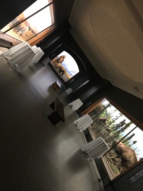 Photographs from a software engineer's overnight sleepover during a hackathon. It includes images of the museum empty at night, the team working together and a photo of earth projected on a screen.