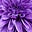 Rebecca Ann 💜's avatar