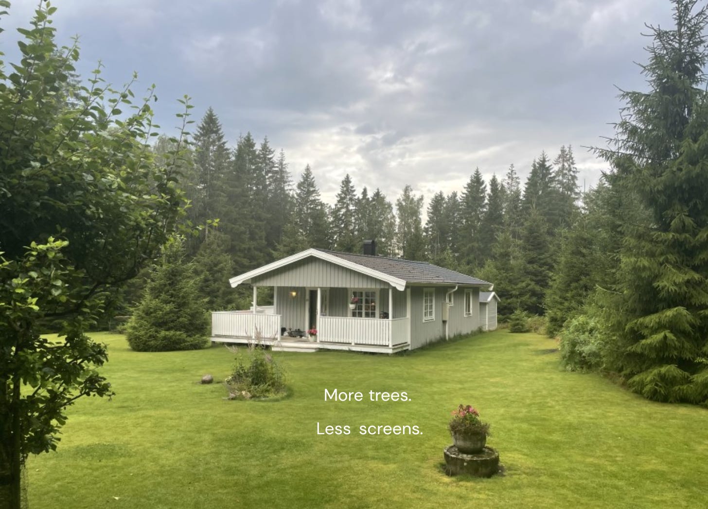 Cottage in the middle of a forest with quote: More trees. Less screens.