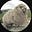 John Galt's avatar