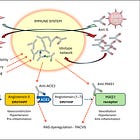 Autoimmunreaktionen gegen das Renin–Angiotensin System