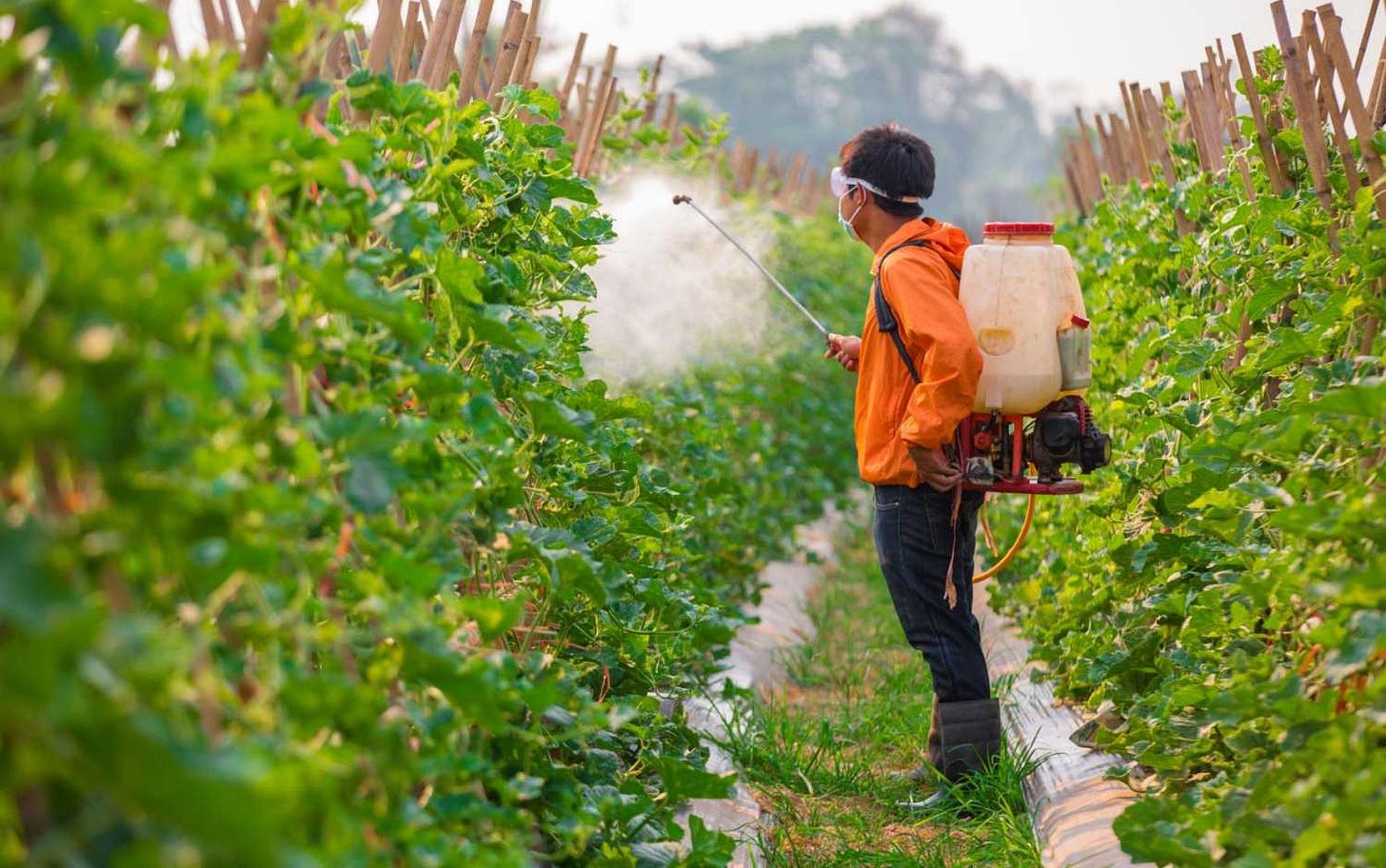 US pesticide regulation is failing the hardest-hit communities. It's time to fix it. | Brookings US pesticide regulation is failing the hardest-hit communities. It's time to fix it. | Brookings