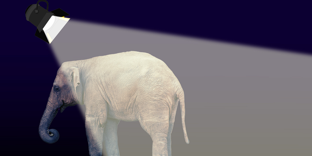 Arctic Frost Is a Real Scandal