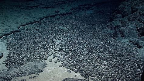 Exploring effects of deep sea mining: Polymetallic nodule extraction ... Exploring effects of deep sea mining: Polymetallic nodule extraction ...