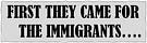 Careen's Blog: "First They Came for the Immigrants...."