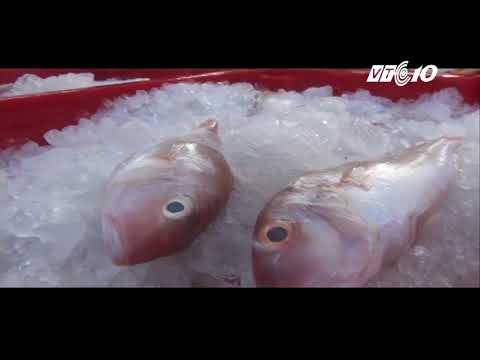 Người Việt bốn phương 21.12.2017