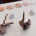 Storying Ourselves in Nature