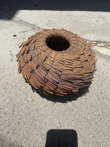Vintage Fran Kraynek-Neil Prince Torrey Pine Needle Basket 9 inch - Picture 1 of 6