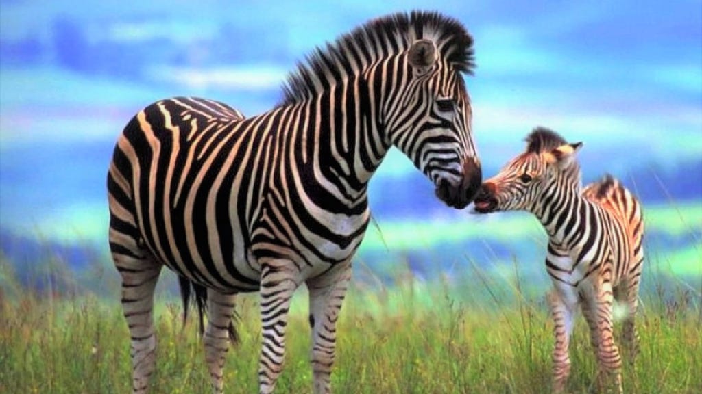 This image has an empty alt attribute; its file name is peakpx.jpg