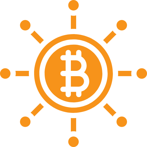 The Summer of Bitcoin Experience