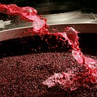 A Beginner's Guide to Wine