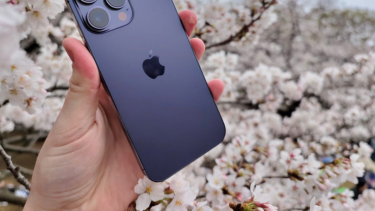 iPhone 14 Pro Max: the six-month review - by Sam Byford