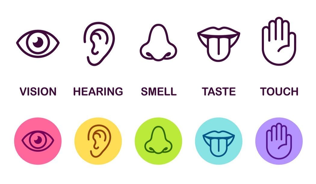 The Five Senses Myth. How the simplification of our senses… | by Joel  Huffman | Medium