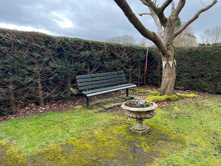 Two pictures, each of a bench with a hedge behind
