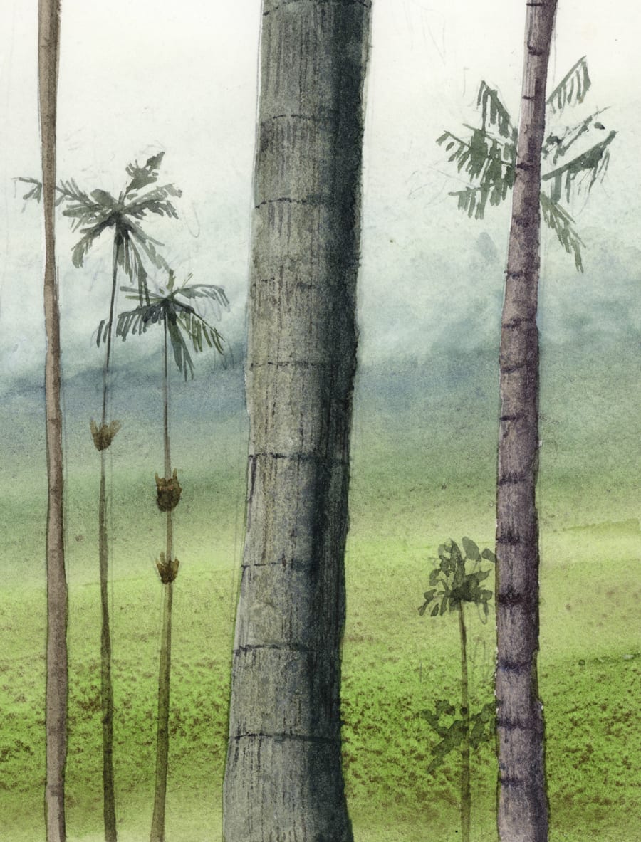 palmeras en acuarela