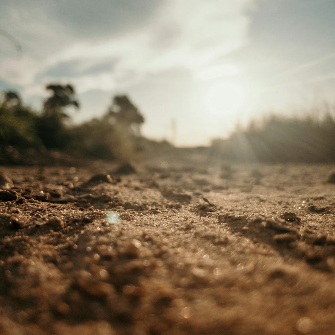 brown soil under white sky during daytime brown soil under white sky during daytime