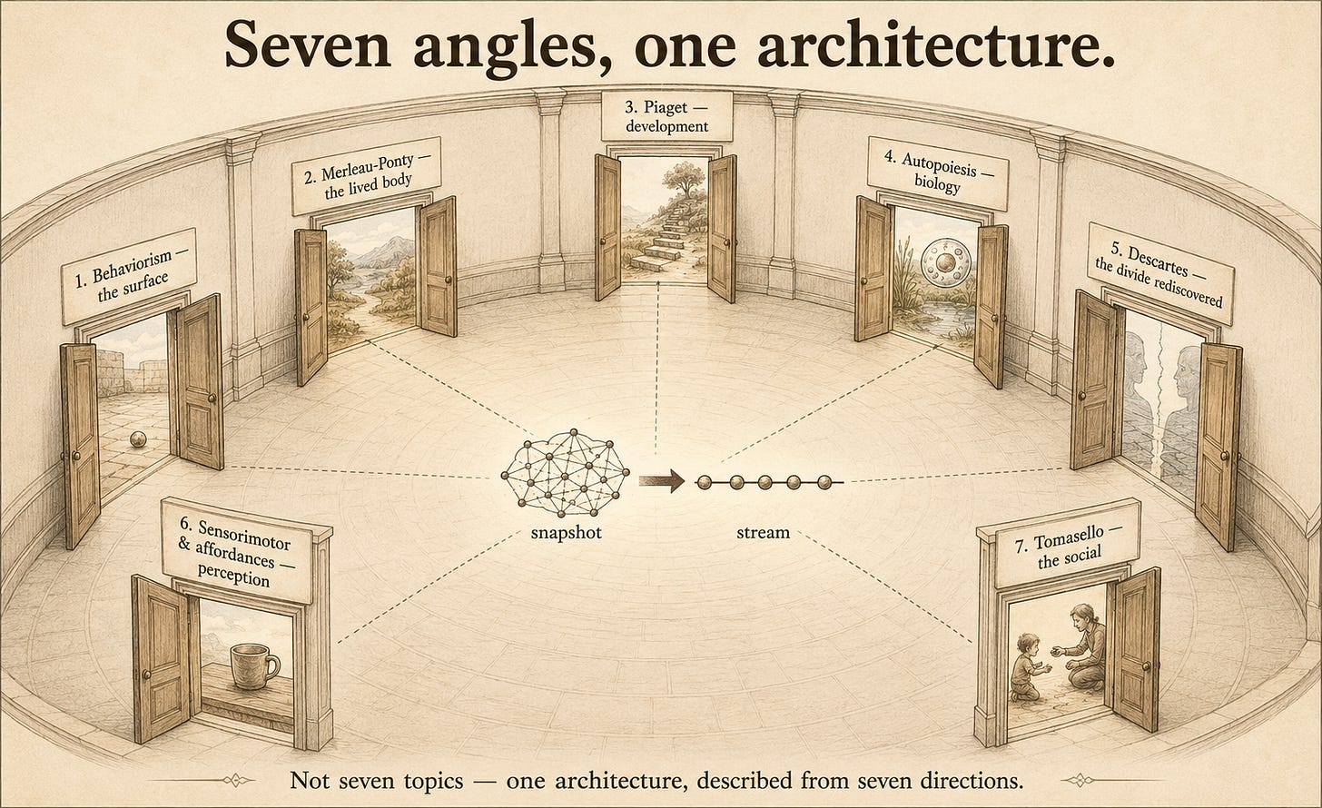 A round room seen from slightly above, with seven labeled doors set around its curved wall, each opening inward toward the same central emblem: a web-like cloud labeled "snapshot" joined by a horizontal arrow to a row of beads labeled "stream." The seven doors are labeled with a tradition and a one-word angle — Behaviorism (the surface), Merleau-Ponty (the lived body), Piaget (development), Autopoiesis (biology), Descartes (the divide rediscovered), Sensorimotor & affordances (perception), Tomasello (the social). Faint sightlines run from each doorway to the central emblem.