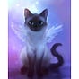 Angel cat author's avatar