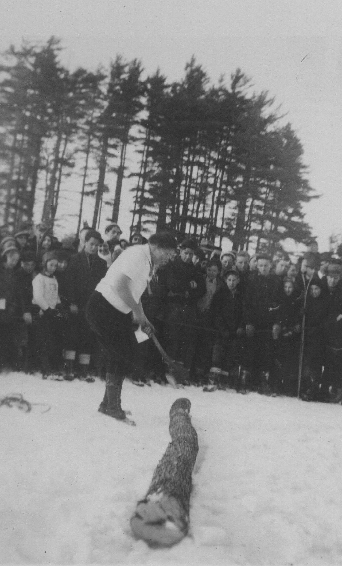 Wood chopping competition