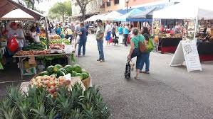 Community Unites to Support Local Businesses in Manatee County Following Hurricanes Helene and Milton