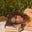 Stefania's avatar