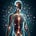 Quantum Detox Protocol (HSD)'s avatar
