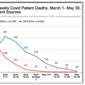 UPDATE: Still Attempting to Resolve NYC Hospital Data Discrepancy - Email to Austin Parish & John Ioannidis