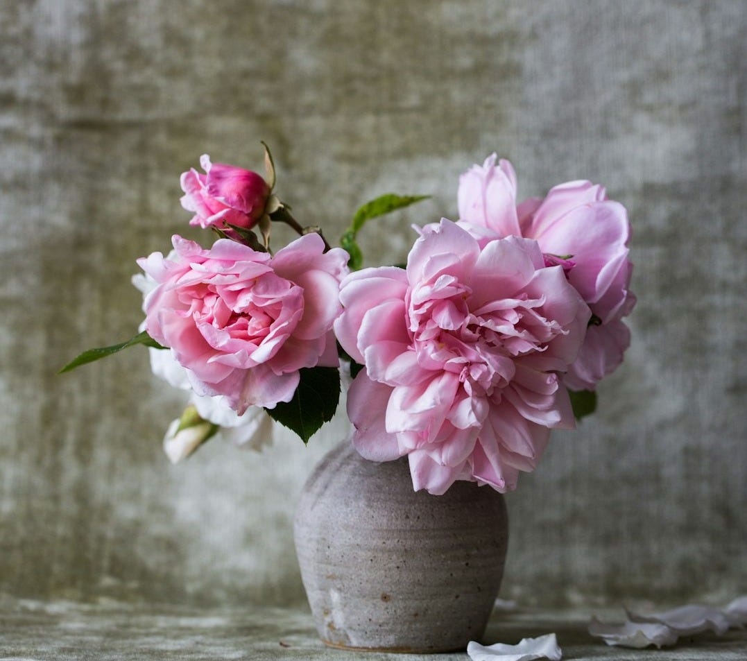 pink flowers on gray ceramic vase