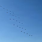 AFRICOM Advances Curtain Call Drone Swarm Defense System in Second Field Test