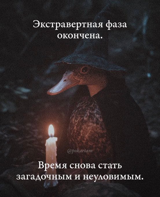 A duck wearing a black witch hat and cloak, holding a lit candle in a dark forest setting. Text overlay reads "Экстравертная фаза окончена. Время снова стать загадочным и непредсказуемым." An Instagram watermark is present.